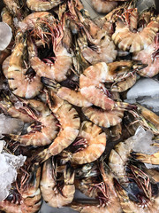 photo fresh seafood on the counter supermarket