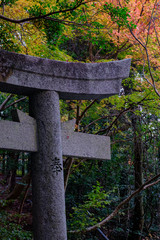 Sekizan Zen-in Temple in Kyoto, Japan
