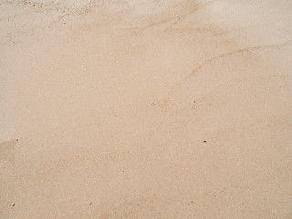 Yellow sand texture, close up view. Abstract background. Photographed in egyptian beach in february