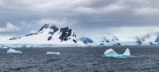 Fototapeta na wymiar Icebergs floating in the Antarctic after calving off the numerous glaciers in the area.