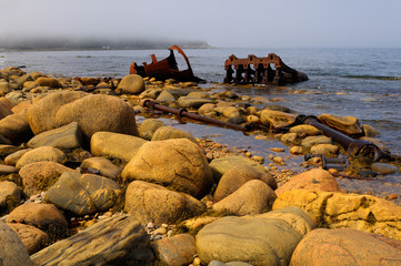 Rusted remains of the SS Ethie coastal steamship that ran aground in a 1919 storm at Martin Point - obrazy, fototapety, plakaty