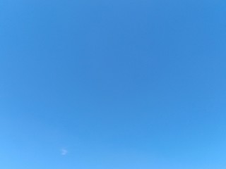 blue sky visible during the daytime