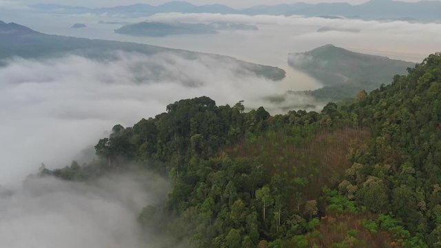 Aerial video of beautiful nature in the morning.  Morning time have many clouds over the mountain in Ranong province, Thailand.