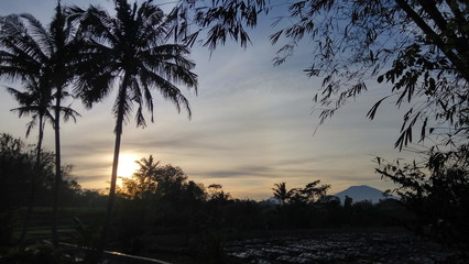 beautiful scenery at sunrise. coconut trees on the banks of the agricultural irrigation river at sunrise in Indonesia. (motion blurry soft focus noise)