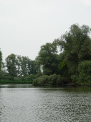 Fototapeta na wymiar Danube delta