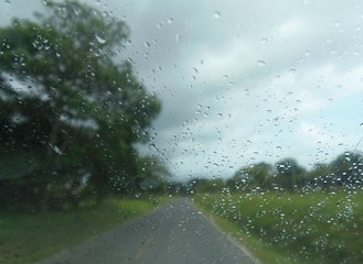 rainy road
