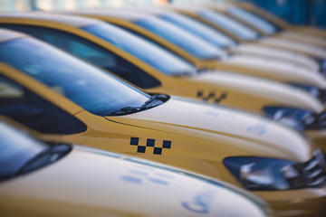 View of yellow taxi cab parking lot with yellow cars standing, set of taxicabs in the streets, taxis
