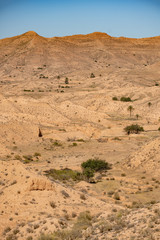 Dahar