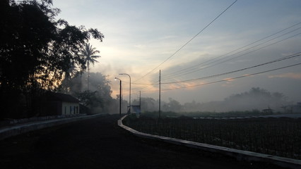 Fototapeta na wymiar thin fog at sunrise in Kedu village, Central Java in Indonesia. a house on the edge of the village with trees and a road around it. This image contains motion noise, blurry, soft focus and poor lighti