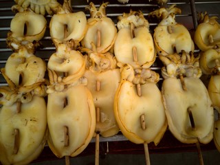 Grilled squid