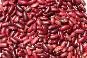 Red Rajma or red kidney beans
