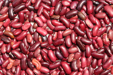 Red Rajma or red kidney beans