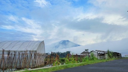 Fototapeta na wymiar farmhouse in the countryside in the morning. fog, village road, Sumbing mountain and blue sky.