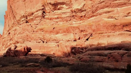 Pan and tilt up from dormant grass to sunlight glowing on red rock layered monolith and blue sky - Powered by Adobe
