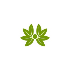 vector logo with modern, unique, and clean abstract leaf shapes, leaves, leaf logos, cannabis