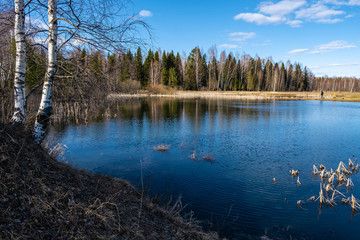 A small forest lake reflecting a blue sky with white clouds.