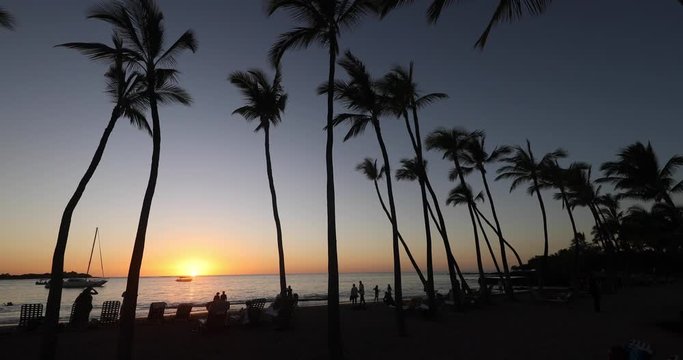 Paradise beach sunset or sunrise with tropical palm trees. Summer travel holidays vacation getaway colorful concept photo from sea ocean water at Waikoloa beach, Big Island, Hawaii, USA.