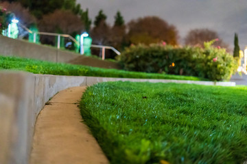 Abstract lawn taken from ground level