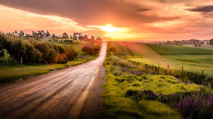 Sunset on country road in Gawler in South Australia - obrazy, fototapety, plakaty