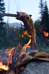 Trout cooking over a fire.