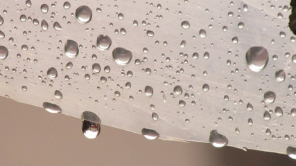 water drops on a plastic surface