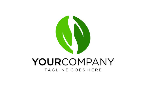 Natural green leaf logo design vector on white background	
