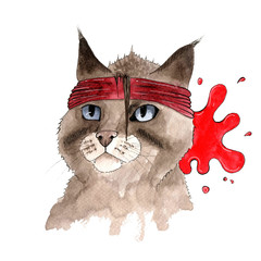 Cute cat wearing bright red bandana.