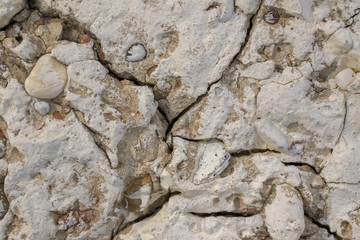 Cracked concrete wall for backdrop. Paint, stones, bumps. Color - Sandrift, Suva Gray.