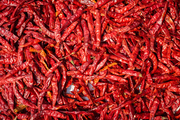 Naklejka premium Dried red hot chilli peppers background