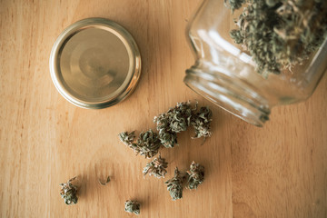 Obraz na płótnie Canvas Close Up Marijuana Buds Drying