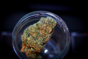 Cannabis Flower