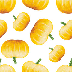 yellow whole pumpkin hand-drawn - seamless pattern isolated on white background. Raster square illustration with pumpkin in realistic style.