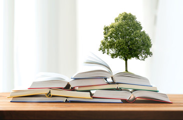 education, school, literature, reading and knowledge concept - oak tree growing on heap of books on wooden table