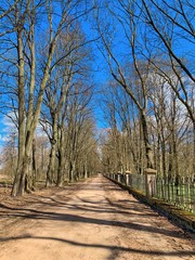 A park in Nesvizh, Belarus