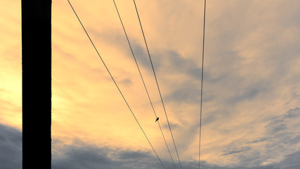Parallel power lines meets in the horizon evening photograph