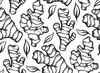 Seamless texture with a sketch of ginger roots with hatching on a white background. Healthy food. Engraving vector background for fabrics, wallpapers and your creativity.