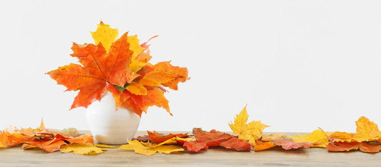 Naklejka na ściany i meble autumnal leaves in white vase on white background