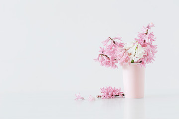 pink hyacinth in vase on white background