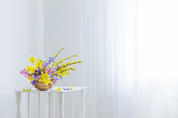 spring flowers in basket on white interior