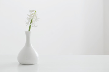 white hyacinth in vase on white background