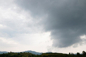 storm clouds over the forest