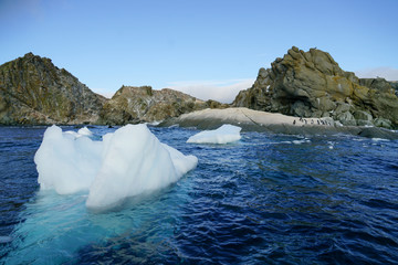 Melting Ice Floes