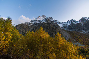 autumn landscape in the mountains