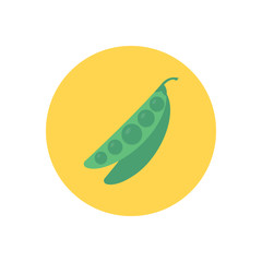 vegetable