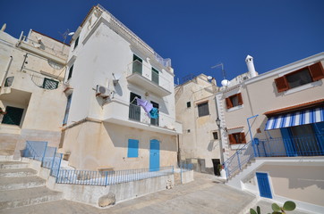 Fototapeta premium landscape in Vieste Italy