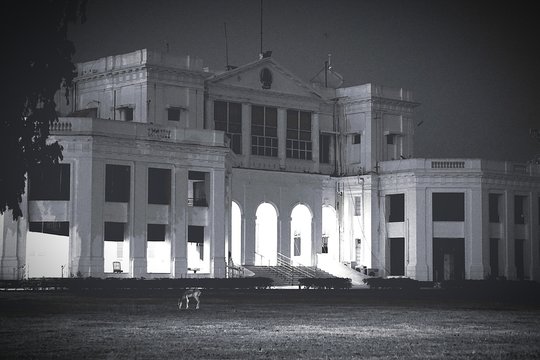 Deer On Field By Raj Bhavan Against Sky