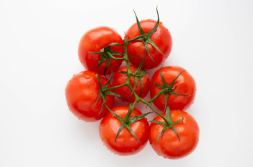 Tomato branch. Tomatoes isolated on a white background