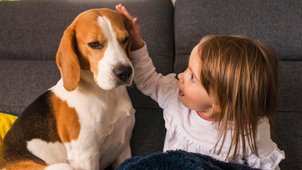 Beagle dog on couch with 2 year old girl bright room.
