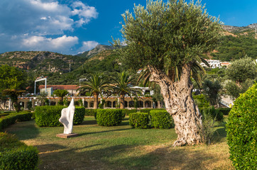 mediterranean garden with olive and palm trees