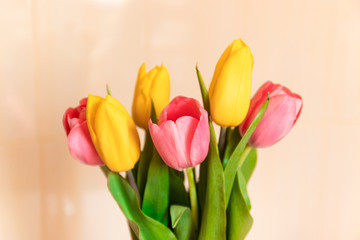 Fresh bouquet of tulips in a glass vase in the kitchen
